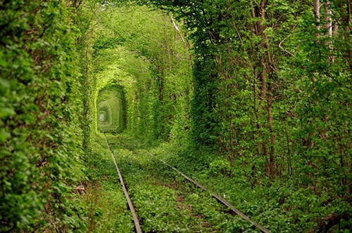 Tunnel of love in Klewan, Ukraine.