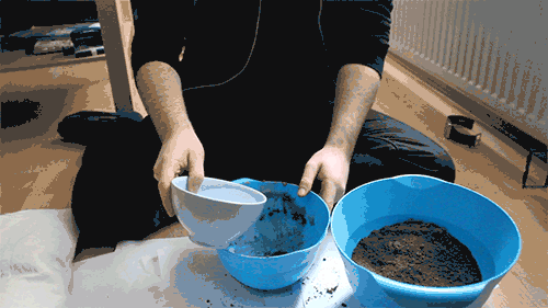 adding water to the bowl filled with some dirt, then shaping the dirt into a ball
