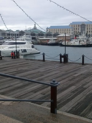 Port – Cape Town