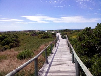 walk bridge to the beach wood