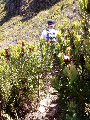 devils peak hike