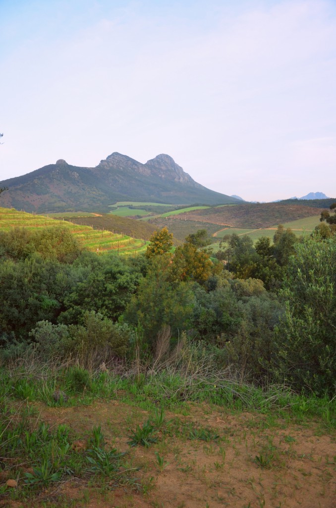 Wild Camping Wine Lands