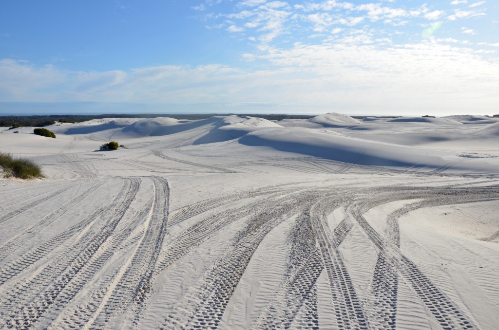 Atlantis Dunes