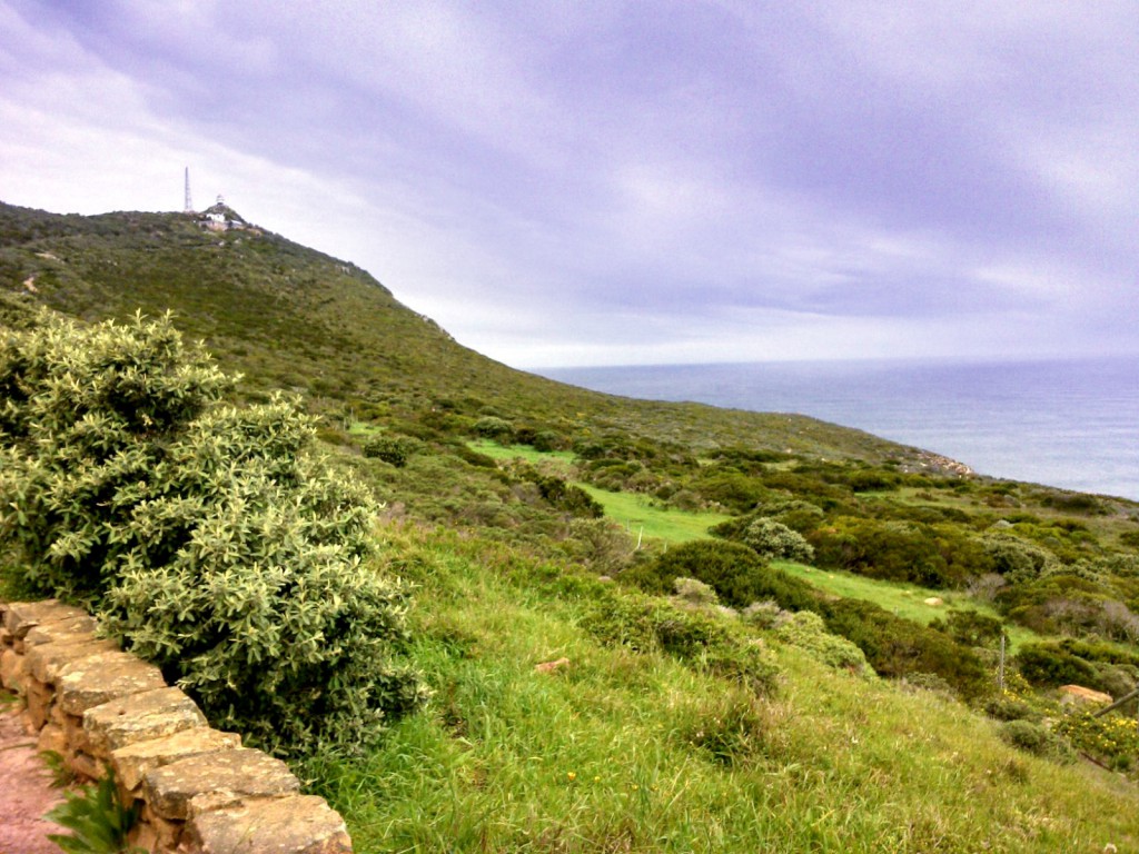 Cape Point