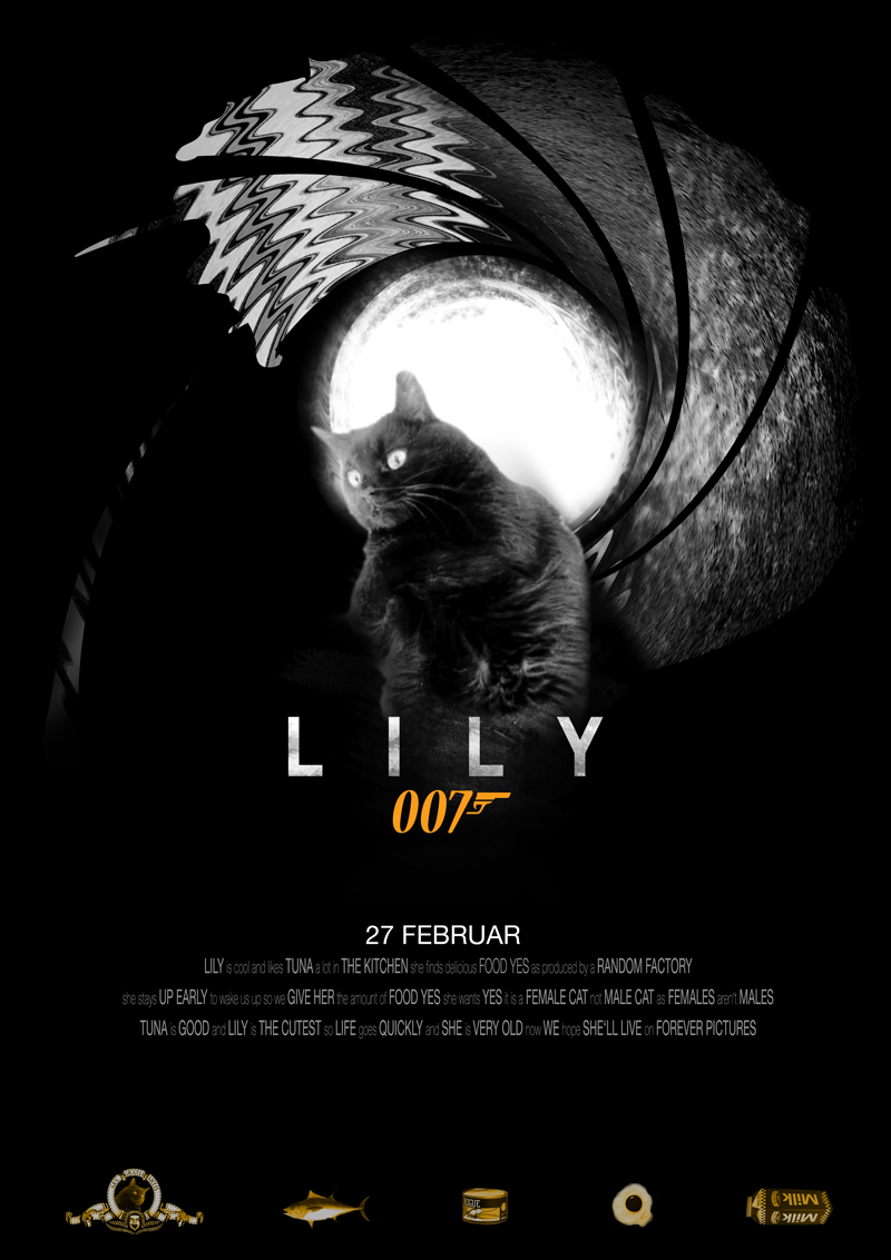 Graphic Design - Lily as James Bond