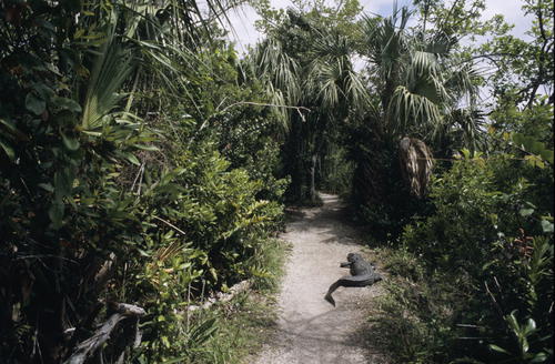 Everglades National Park