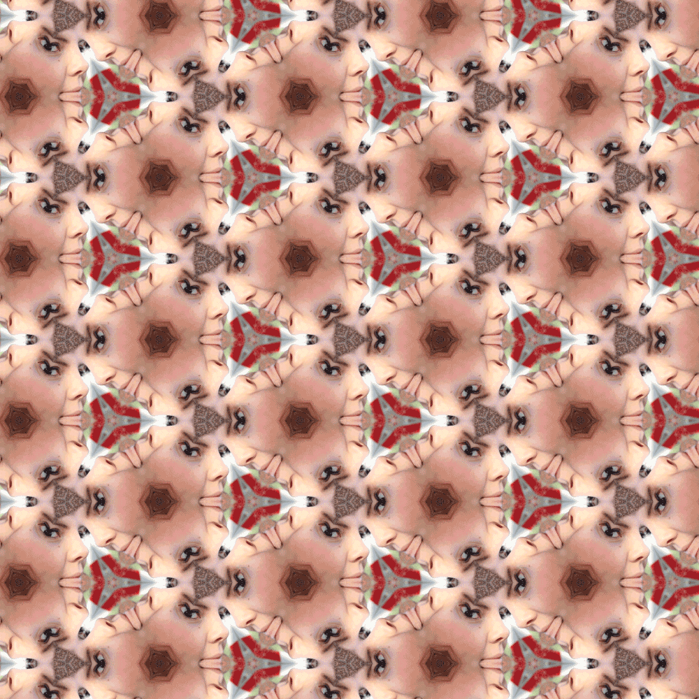 kaleidoscopic img kaleidoscope