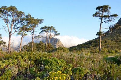 cape town mountains